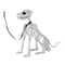 5ft. Poseable Dog Skeleton by Ashland®